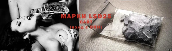apvp Алзамай