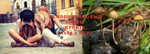 прущие крисы Михайлов