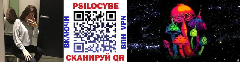 как найти закладки  Тара  Галлюциногенные грибы Psilocybine cubensis 